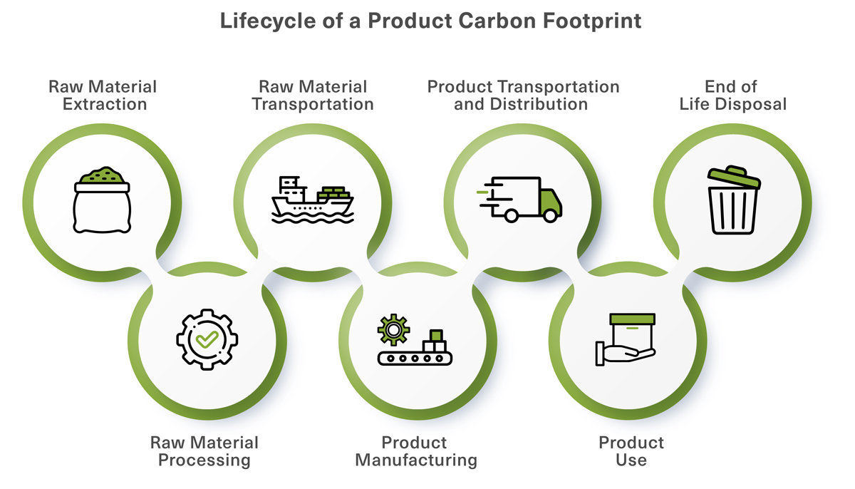 Lifecycle
